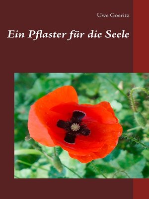 cover image of Ein Pflaster für die Seele